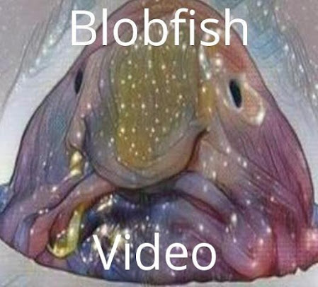 Blobfish Video