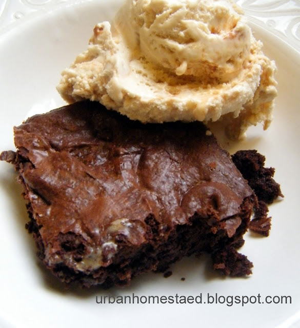 The Best Healthy Fudge Brownies Recipe Minneapolis Homestead