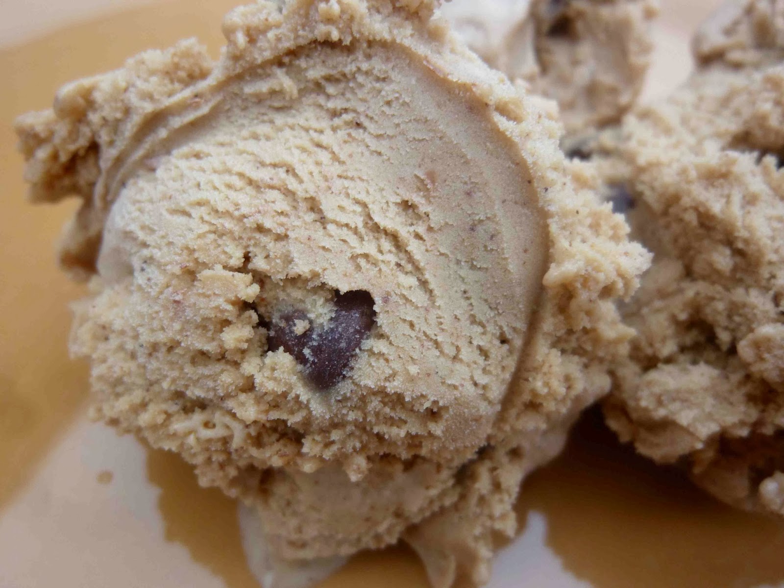 Spicy Gingerbread Chocolate Chip Ice Cream