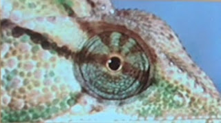 64 Gedicht Zum Ruhestand Kollege Lustig