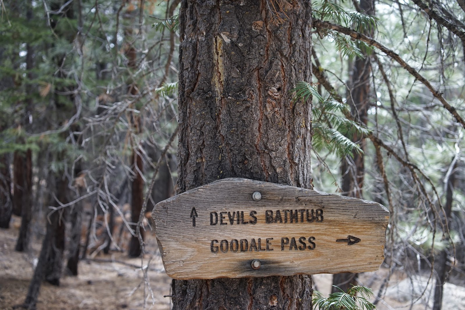 Mid Sierra Musings Day Hike To Devil’s Bathtub