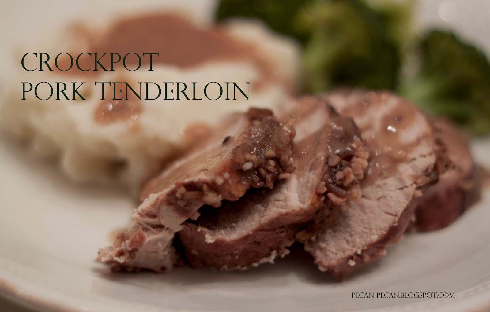 pecän a recipe blog Crockpot Pork Tenderloin Recipe