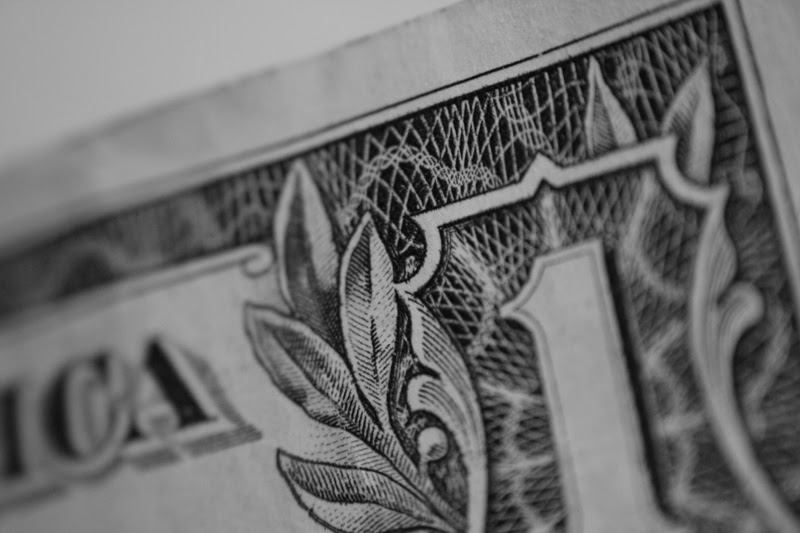 celesimce american dollar bill owl