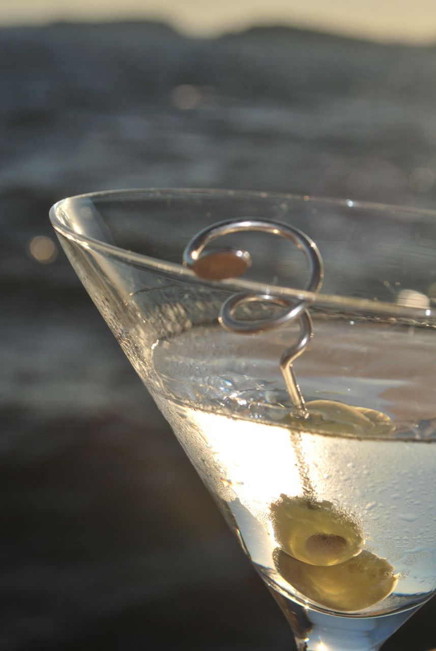 Scrumpdillyicious The Perfect Gin Martini,How Long Do You Boil An Egg For Ramen