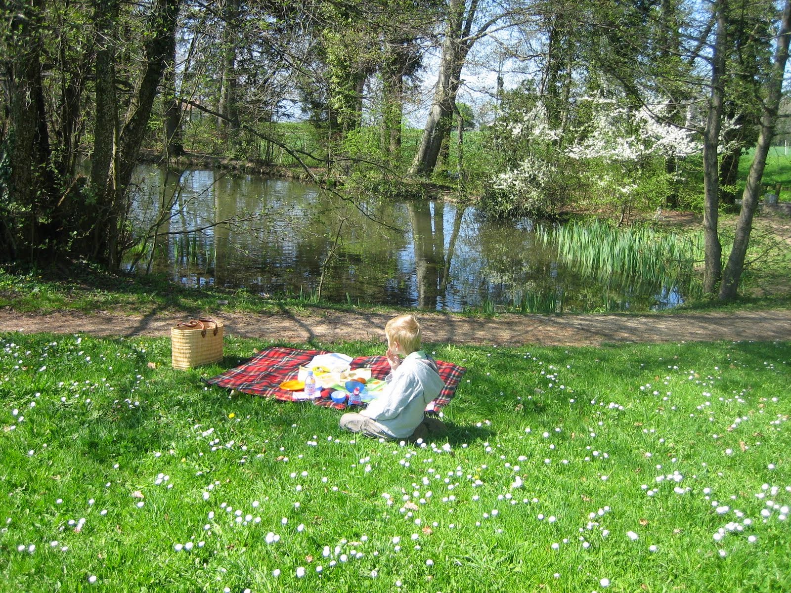Picnic Reflections and Nature