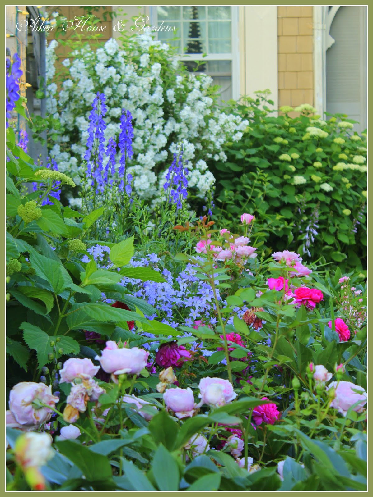 Aiken House & Gardens Favorite Color Combinations in the Garden