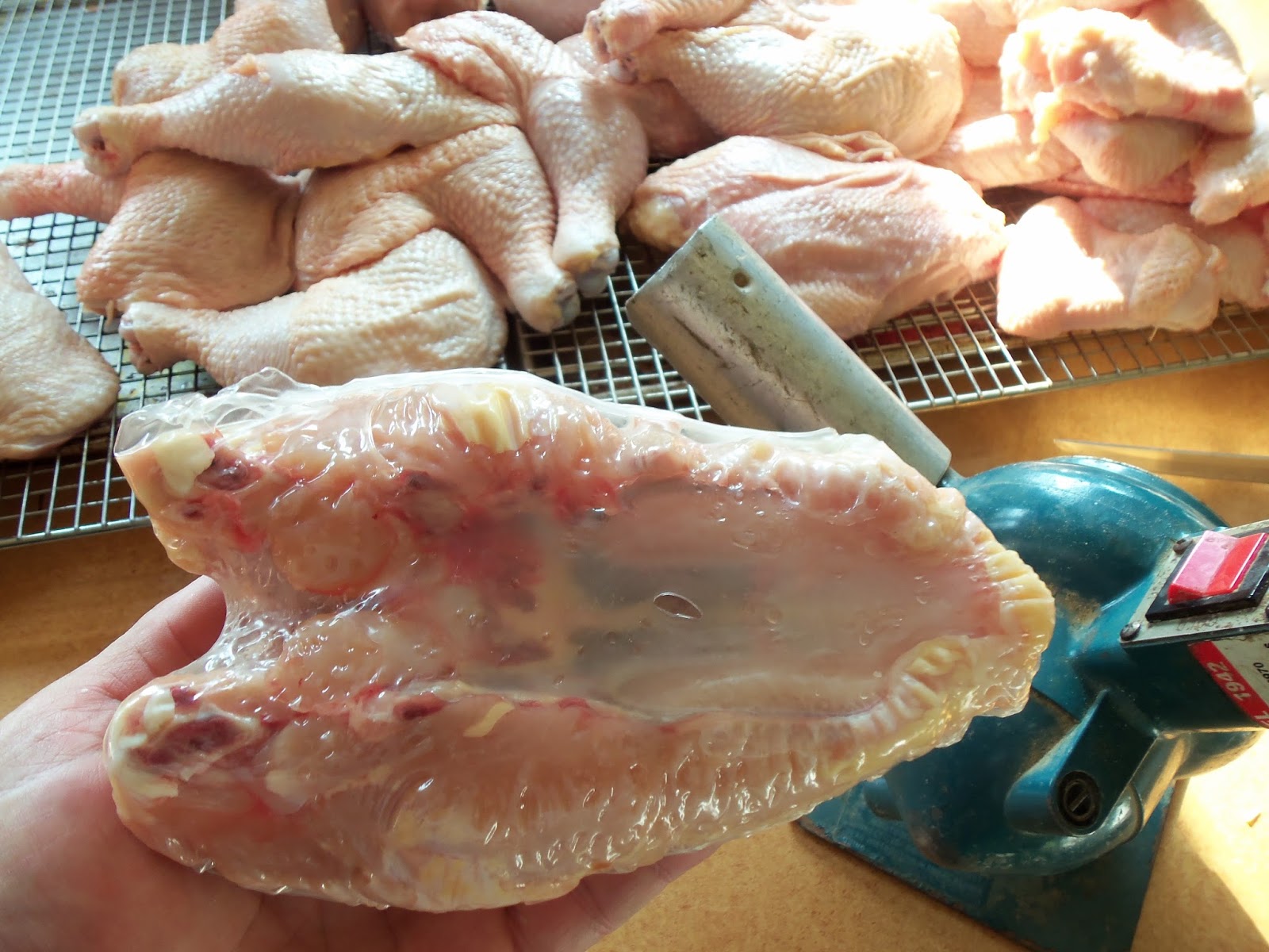 Poultry Shrink Bags: Why You Should Use Them - A Farmish Kind of Life