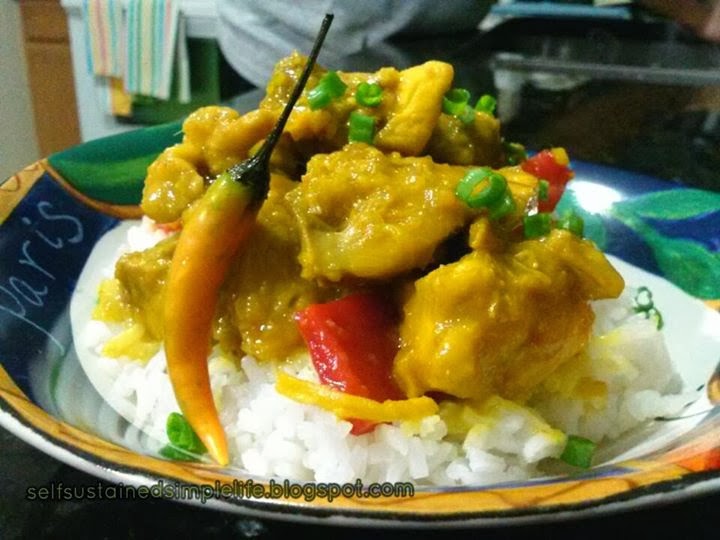 Our Journey to a Simple Life Turmeric Chicken Curry