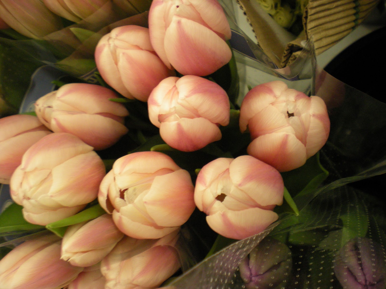 St Anne's Florist and Gift Baskets Perth New Season Perth Tulips Are