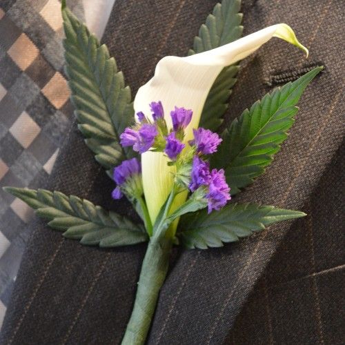 Cannabis Weddings in Mendocino