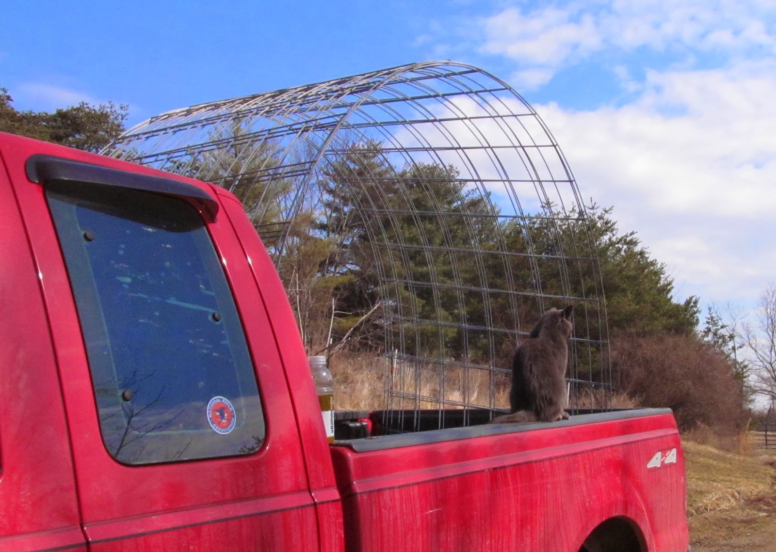 Ohiofarmgirl's Adventures In The Good Land How to transport 16' cattle