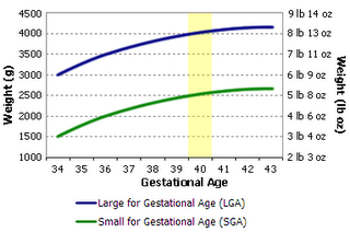 Average Fetal Growth Chart
