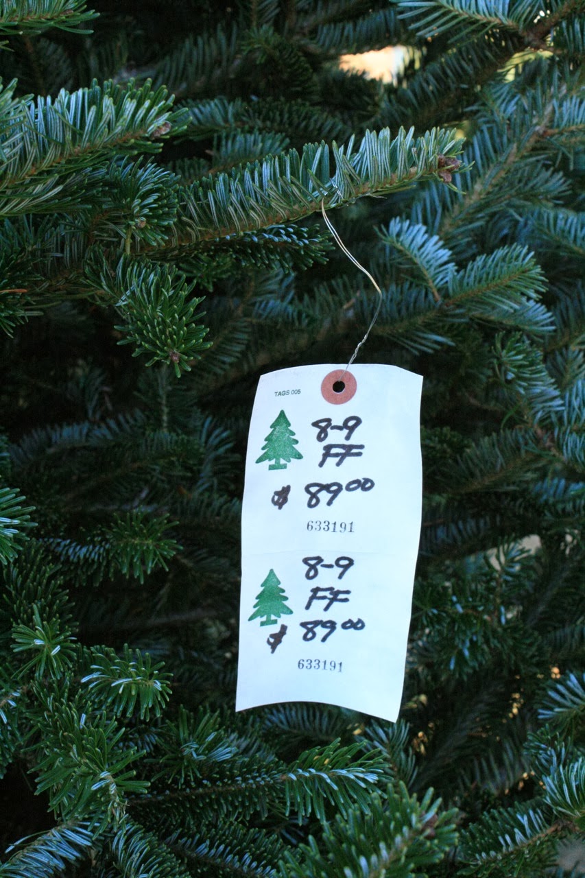 the stir crazy moms guide to durham trosa christmas tree lot the stir crazy moms guide to durham trosa christmas tree lot