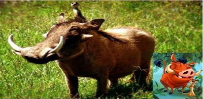 Gambar Tokoh Fiksi Dalam Kehidupan Nyata