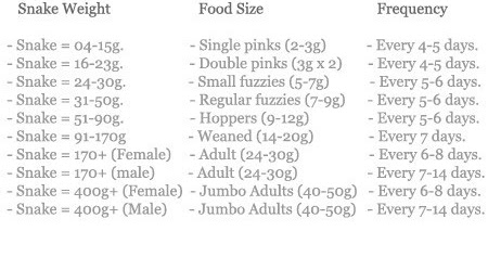 Ball Python Food Size Chart