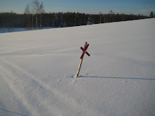 Vinter 2011