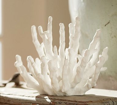 White Coral Decor