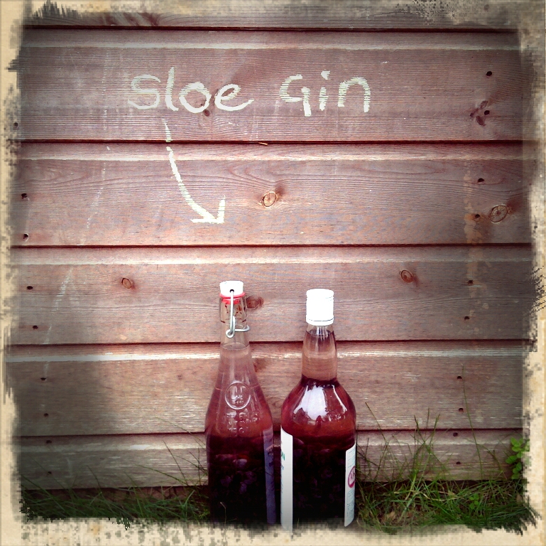 Five Go Blogging October 2011