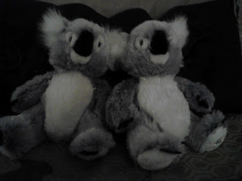 My stuffed Koalas