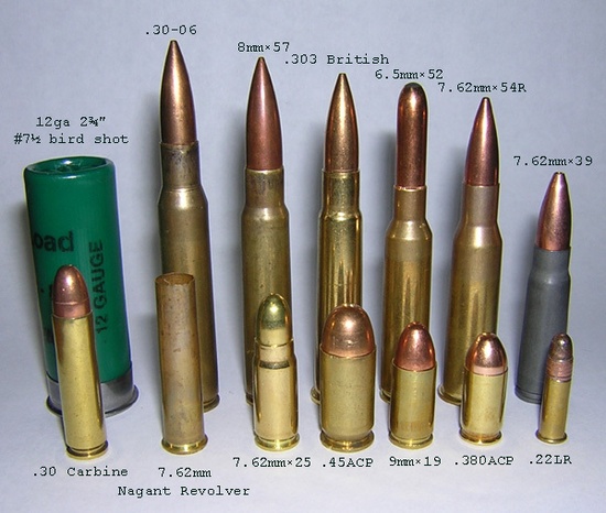 Common Ammunition Compared in Size