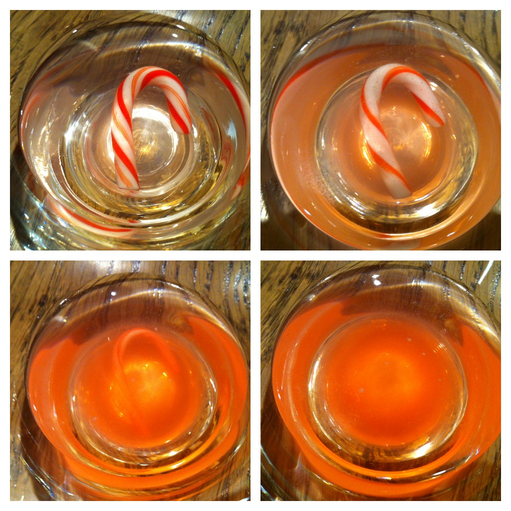 candy canes fizz and dissolve in warm water in 35 minutes Candy cane