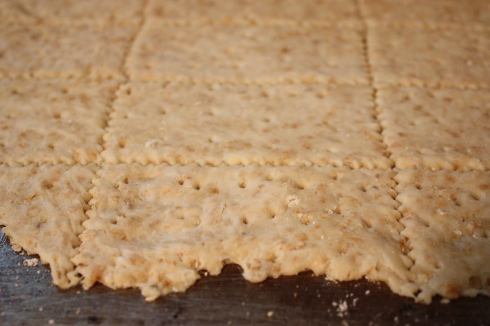 Kathleen's Baking Adventures Swedish Oatmeal Hardtack TWD Baking