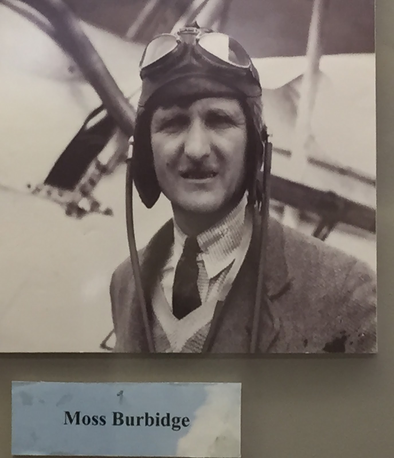 Bush pilots essay Bush pilots essay image