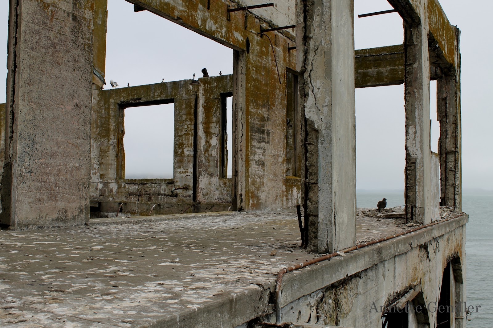 How far is alcatraz from land image
