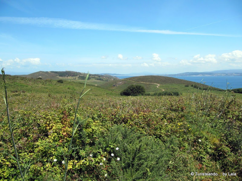 Naturaleza Isla Ons Galicia