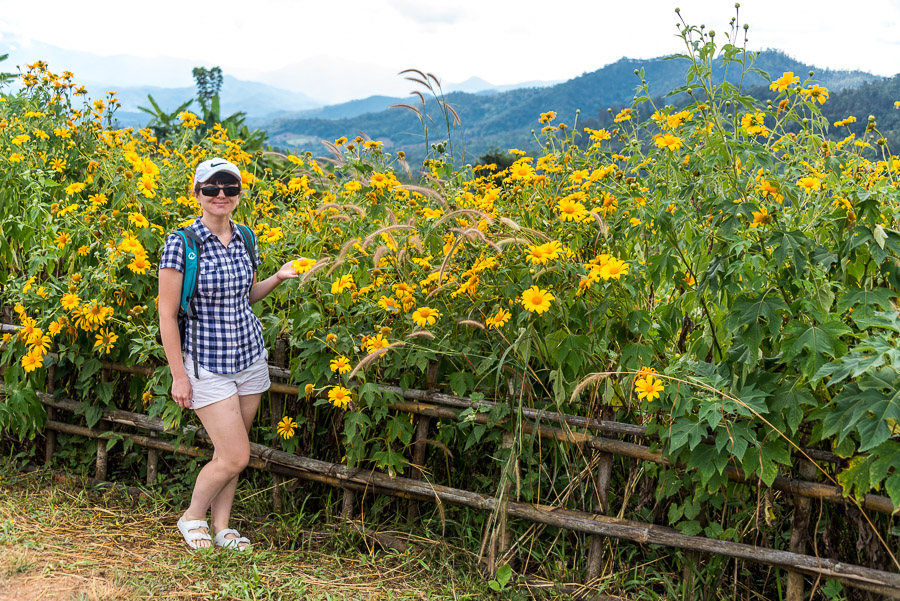 A trip to the neighborhood of the Pai