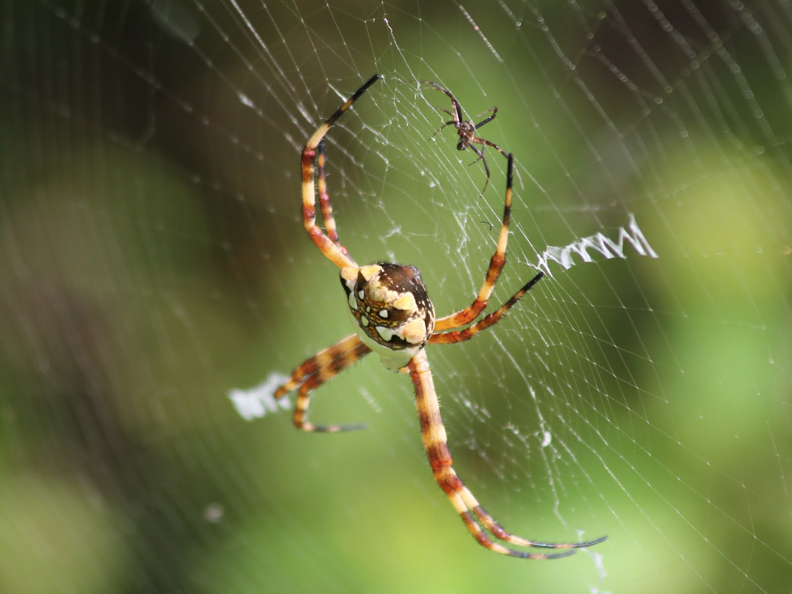 Visions From Key West