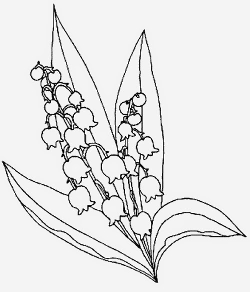 coloriage muguet