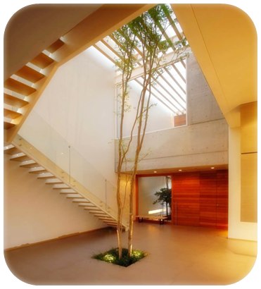 Contoh model taman minimalis dalam rumah