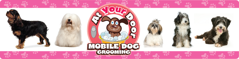 At Your Door Grooming News