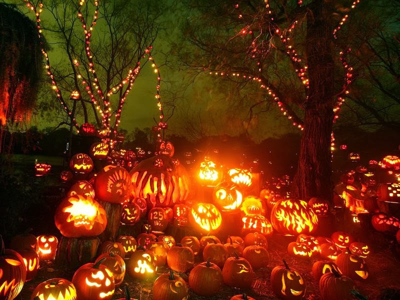 Fiesta de Halloween [Solo post de "salidas"]  Jardin+completamente+decorado+de+calabazas+de+Halloween