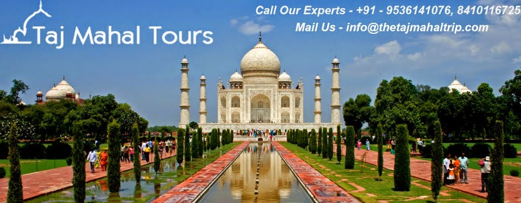 The Taj Mahal Trip