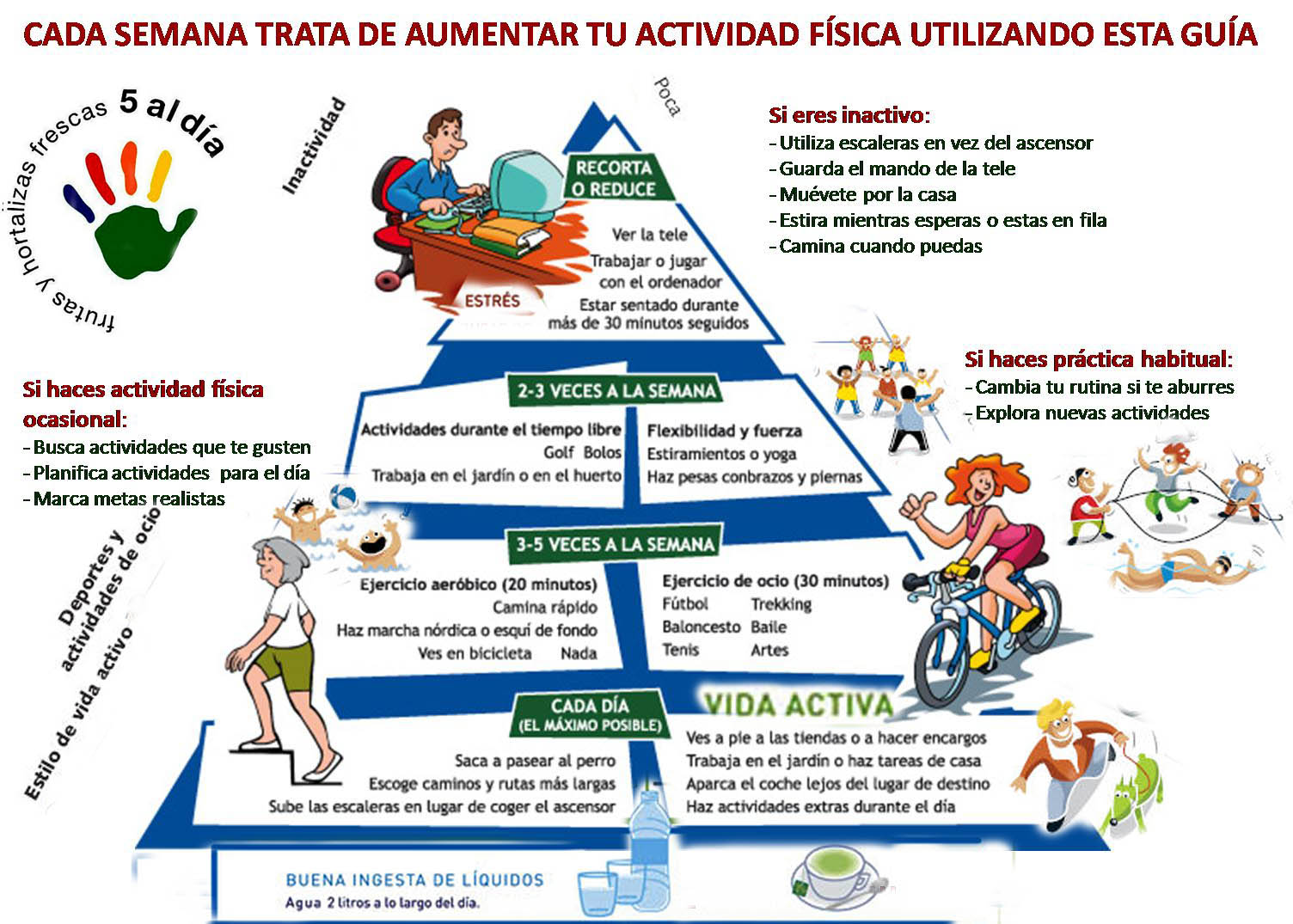 Salud E Higiene