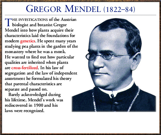 read theory after theory 2011