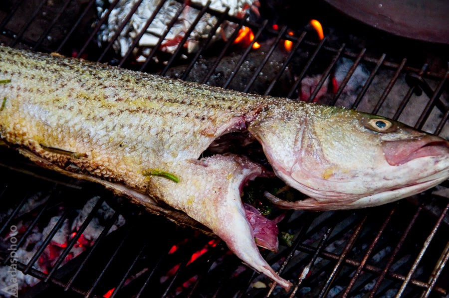 Campfire Cooking Striped Bass Some Kind of