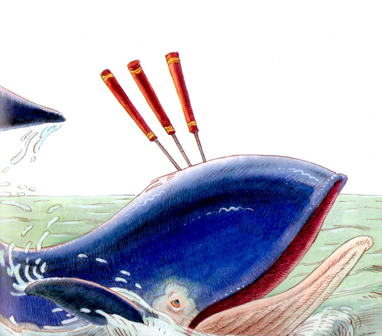 HISTOIRE DU SOIR Leïla et la baleine