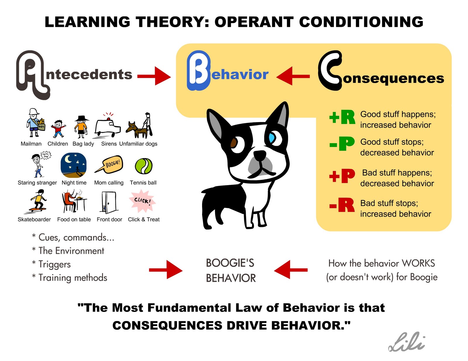 The Theory Of Operant Conditioning
