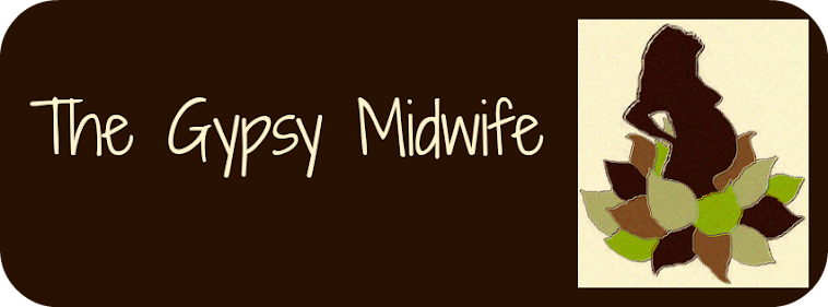 The Gypsy Midwife