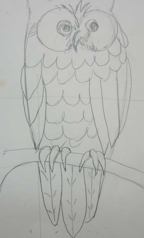 Animal Drawing: Great Horned Owl