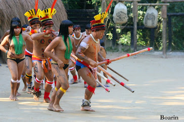 Cultura indígena
