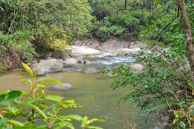 sanctuari ikan kelah sungai chiling