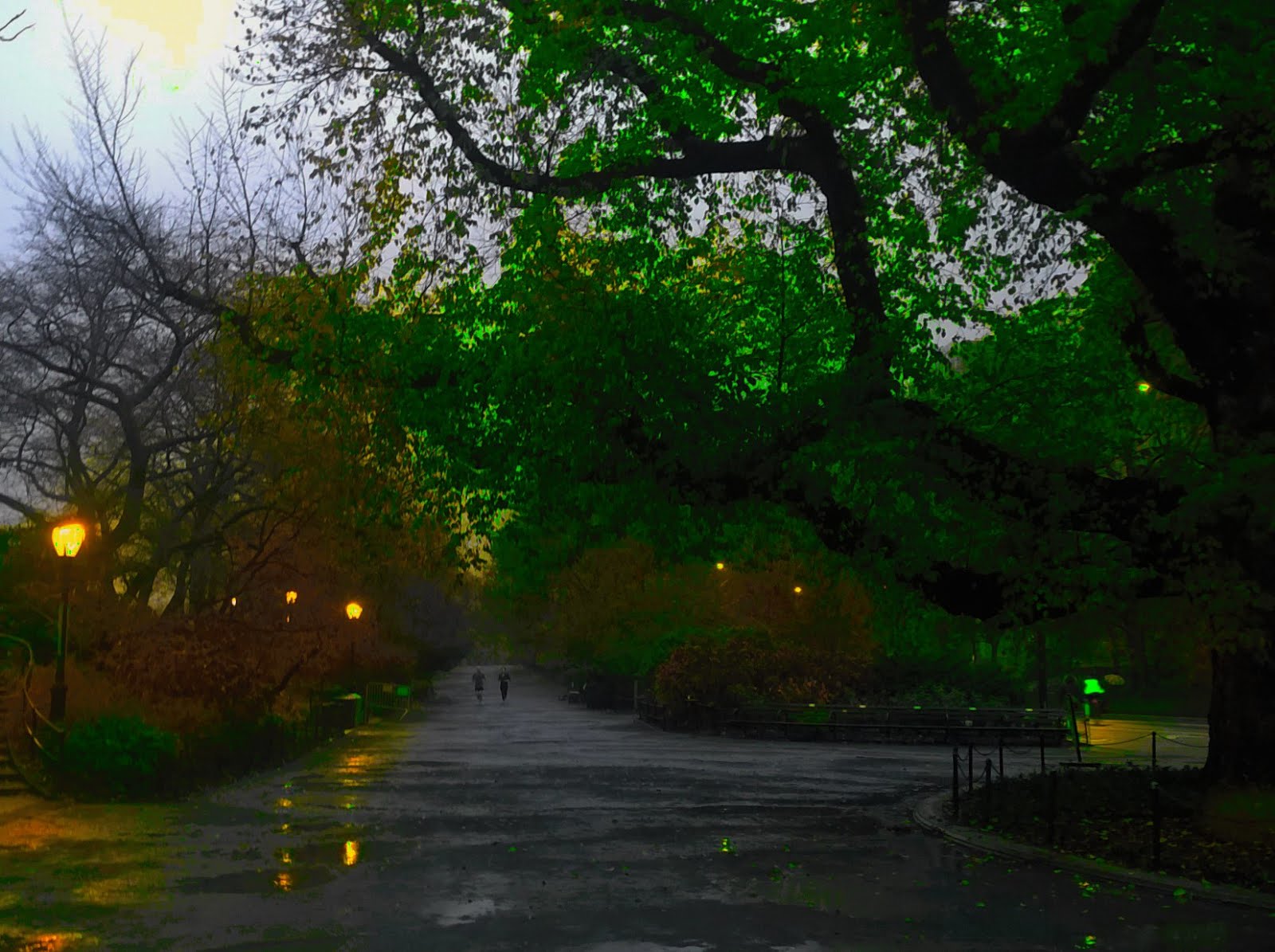 New York Central Park Winter Rain