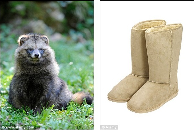 are uggs really made humanely