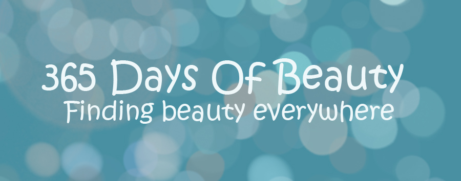 365 Days Of Beauty