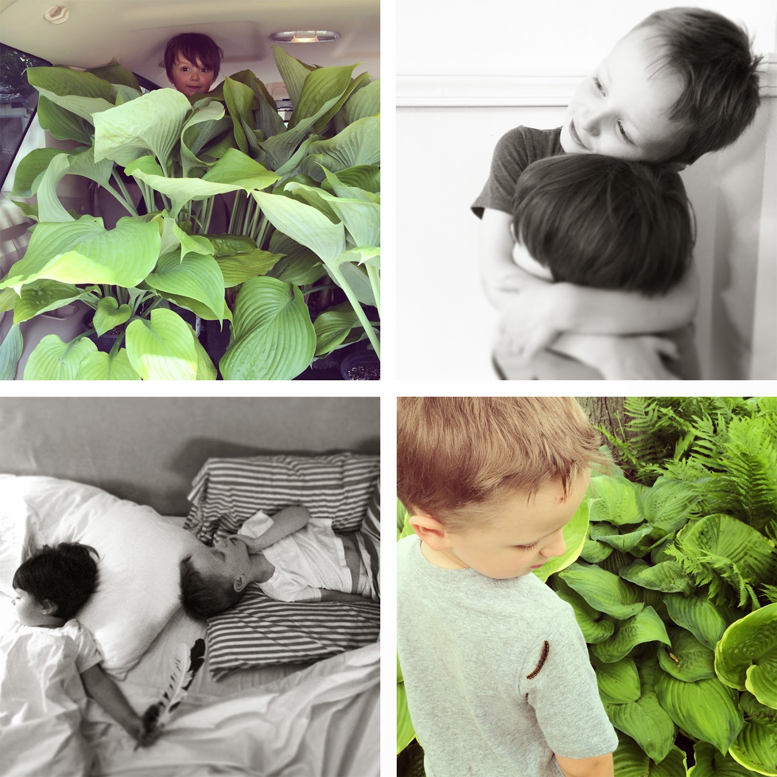 the ra ra home the beauty of boys the ra ra home