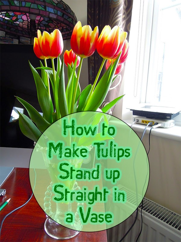 Garden and Farms How to Make Tulips Stand Up Straight in a Vase
